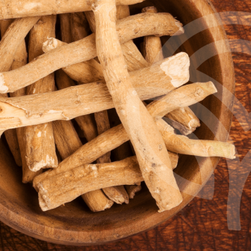 [nimi] NSP, malli [malli] | Kuva nro 1