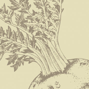 [nimi] NSP, malli [malli] | Kuva nro 1