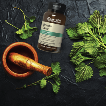 [nimi] NSP, malli [malli] | Kuva nro 3