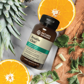 [nimi] NSP, malli [malli] | Kuva nro 4