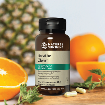 [nimi] NSP, malli [malli] | Kuva nro 2