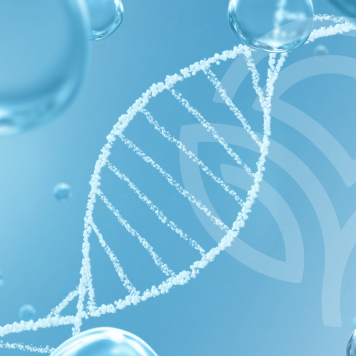 [nimi] NSP, malli [malli] | Kuva nro 1