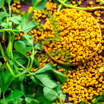 [nimi] NSP, malli [malli] | Kuva nro 1