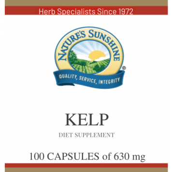 [nimi] NSP, malli [malli] | Kuva nro 1