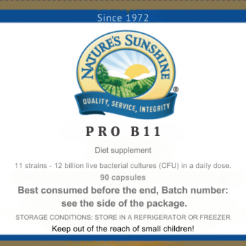 [nimi] NSP, malli [malli] | Kuva nro 1