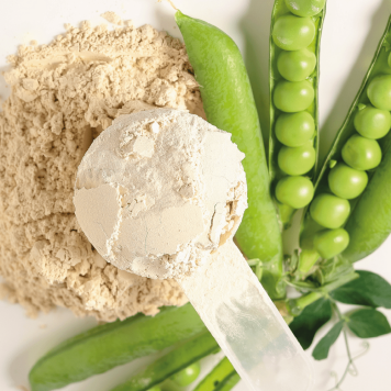 [nimi] NSP, malli [malli] | Kuva nro 1