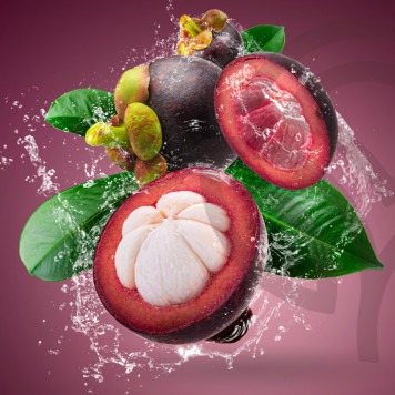 [nimi] NSP, malli [malli] | Kuva nro 2