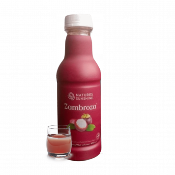 [nimi] NSP, malli [malli] | Kuva nro 1