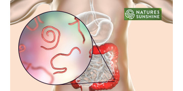 Miten voittaa loiset ja kandidiaasi turvallisesti ja luonnollisesti: NSP-ohjelma.