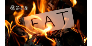 Miksi elimistö tarvitsee rasvaa? Rasvakudoksen rooli toksikologisessa puolustautumisessa