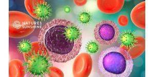 Miten vahvistaa immuniteettia kesällä: NSP:n luonnolliset ratkaisut