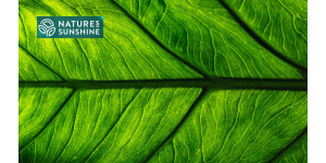 Älykkäät tuotteet suonikohjuja varten: NSP:n kokemus