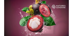 Purppurakilpi: miten Zambroza parantaa verisuonten terveyttä ja hidastaa ikääntymistä