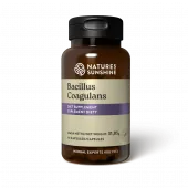 Bacillus Coagulans NSP